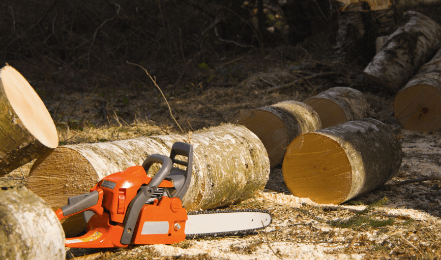 B&M Tree Services